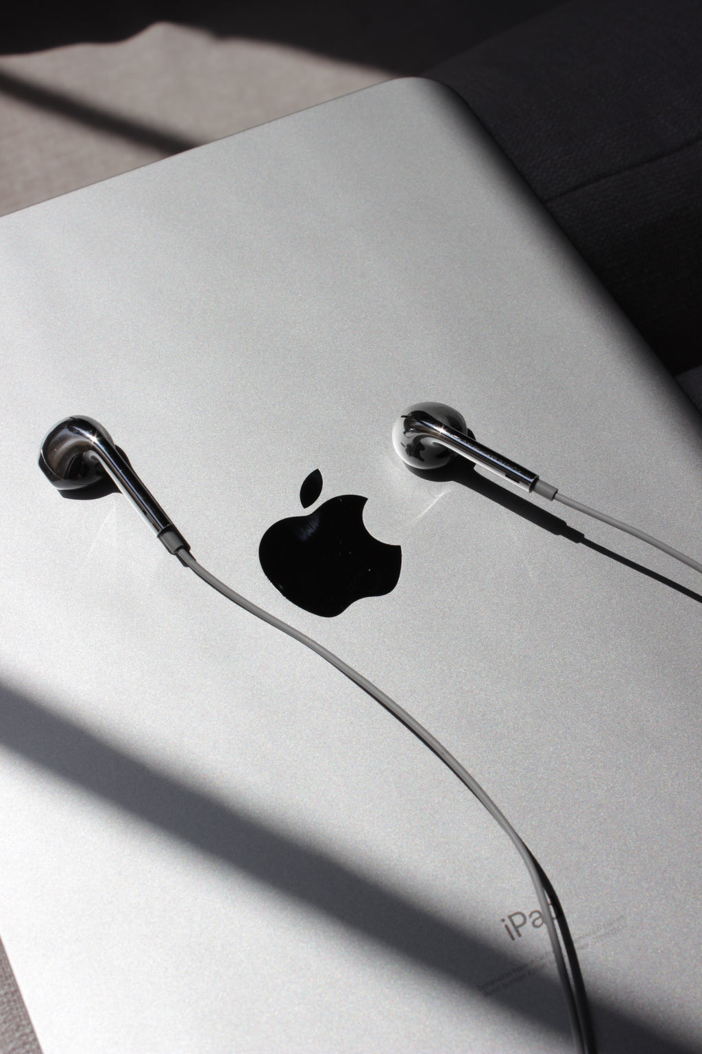 KNTK Chrome Earbuds