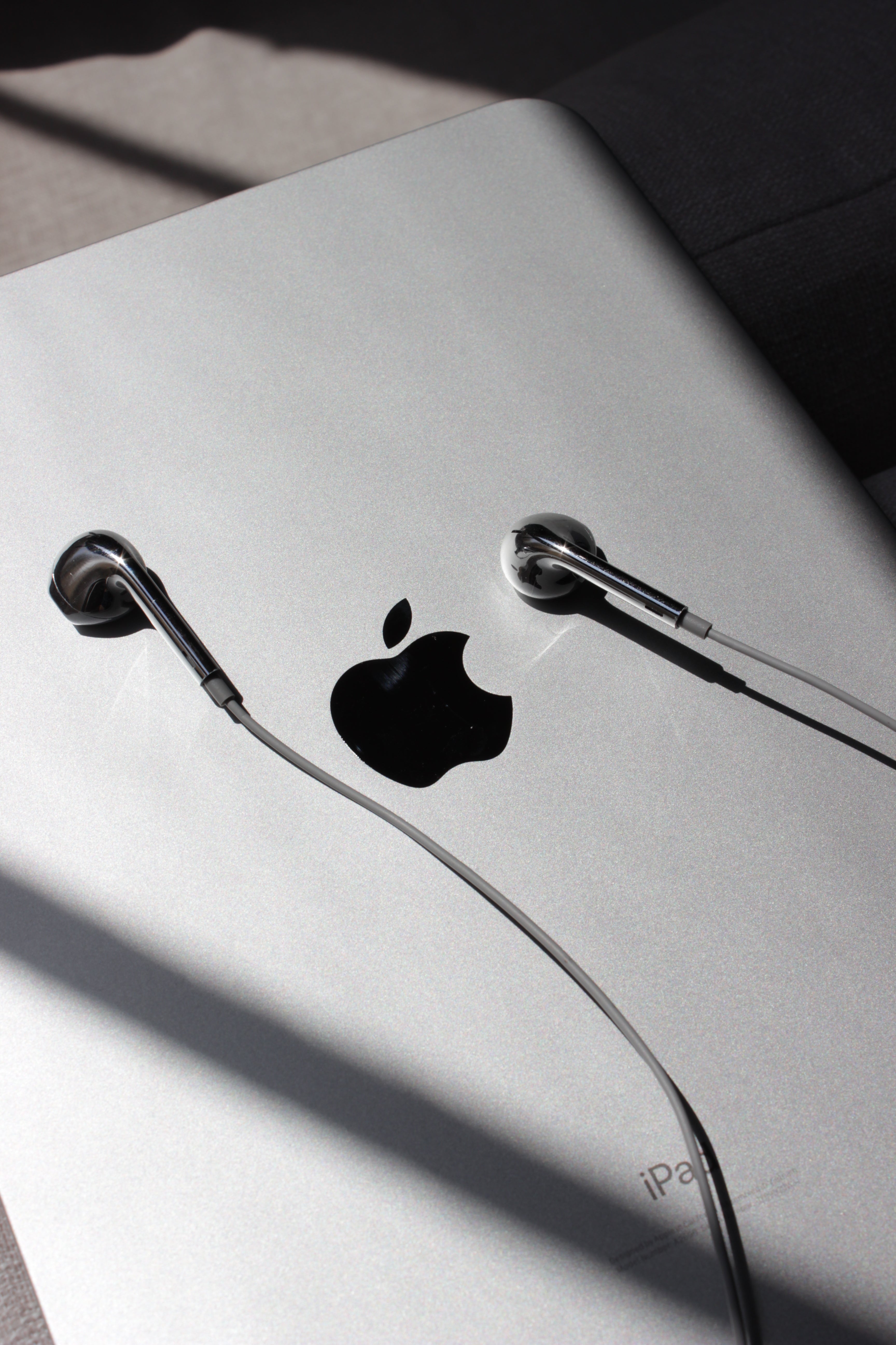 KNTK Chrome Earbuds
